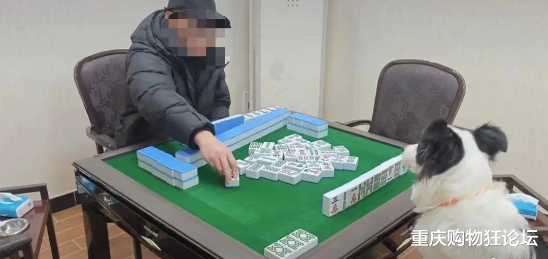 玩家必备教程熊猫麻将开挂看穿方法”其实确实有挂 