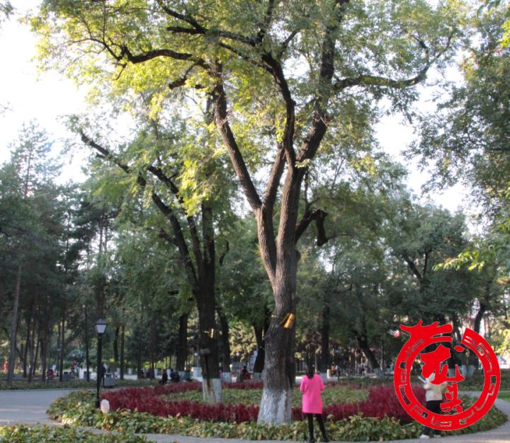 给大家科普一下！哈市最新款普通牌分析仪,推荐2个购买渠道