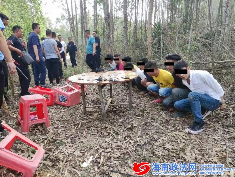 玩家必备十款！最新款扑克牌分析器,推荐1个购买渠道