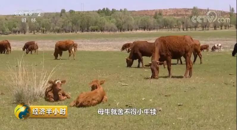 黑料！普通扑克牌可以边打边做记号吗,推荐4个良心渠道