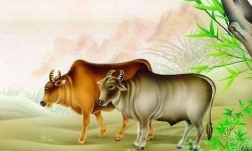 (重磅.揭秘)“牛总管到底有挂吗！”确实有挂 