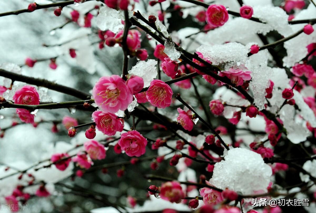 三分钟了解&quot;盛世冰雪娱乐有挂吗”(确实是有挂)-哔哩哔哩