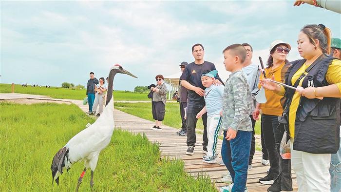 重磅揭秘“趣玩齐齐哈尔真的有挂吗”其实确实有挂-知乎