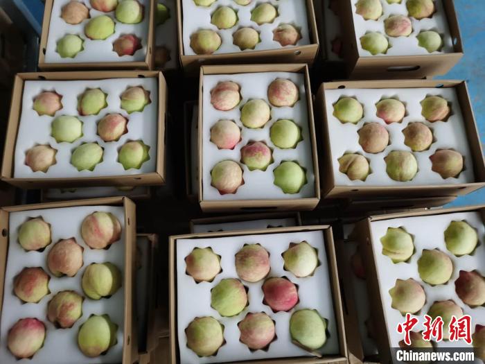 老玩家推荐“新蜜瓜大厅拼三张到底有挂吗”!揭秘曝光猫腻