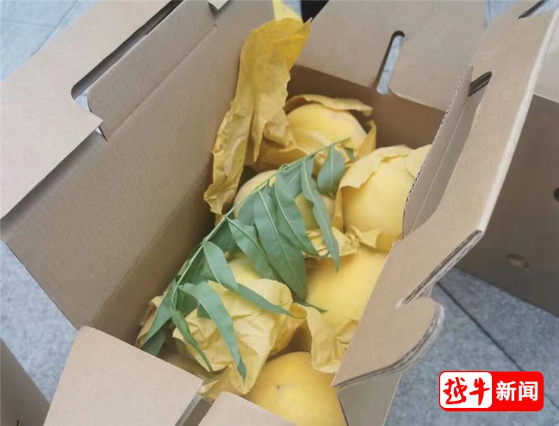 老玩家推荐“新蜜瓜大厅拼三张到底有挂吗”!揭秘曝光猫腻
