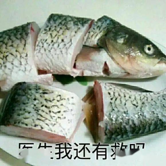 推荐一款“优优乐葫芦鱼有挂吗”(真的有挂)