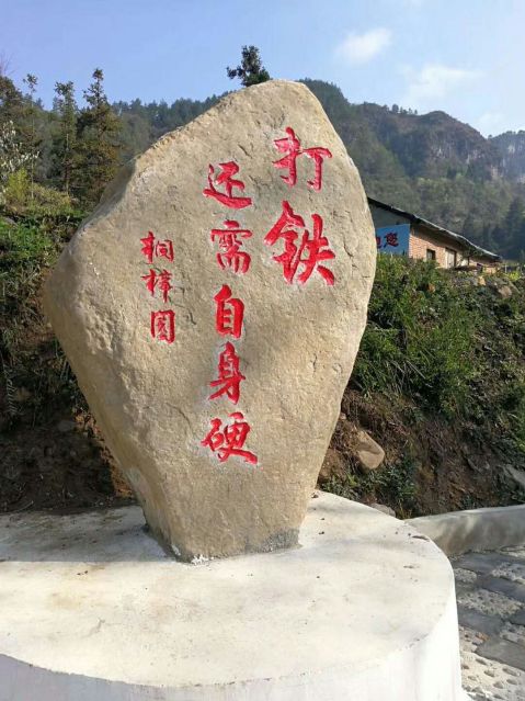 推荐一款“越乡游双扣是不是有挂有挂吗”(其实确实有挂)-包教包会