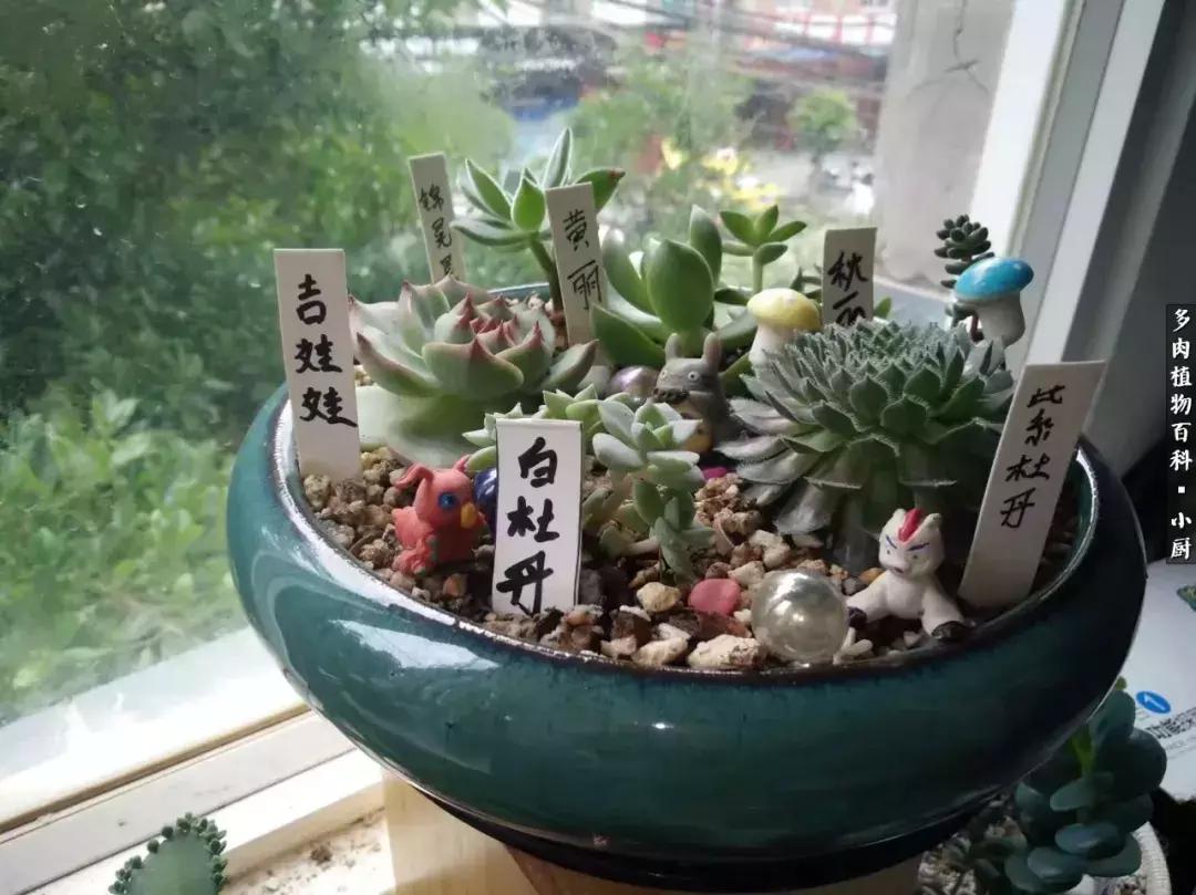 3分钟教你科普“麒麟大厅游戏开挂方法”(原来真的有挂)-知乎 