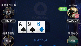 实测分享“wepoker_原来有人开挂器-哔哩哔哩 
