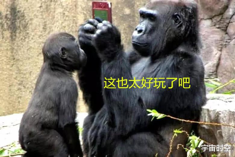 (重磅.揭秘)“猿人大厅是否能开挂&quot;!(详细开挂教程)-包教会