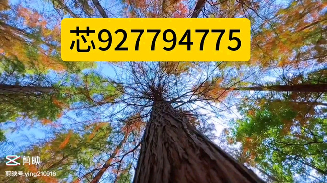 我来教教大家“牵手跑得快开挂透视!其实确实有挂的