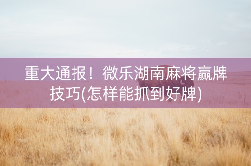 玩家必备教程！湖南微乐麻将怎样容易赢(怎么才可以赢)