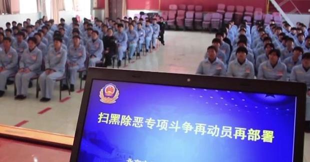 关于欢乐要牛开挂作弊器下载的信息