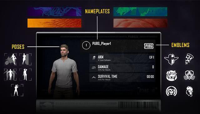 pubg娱乐模式队友开挂（pubg开挂队友会封号吗）